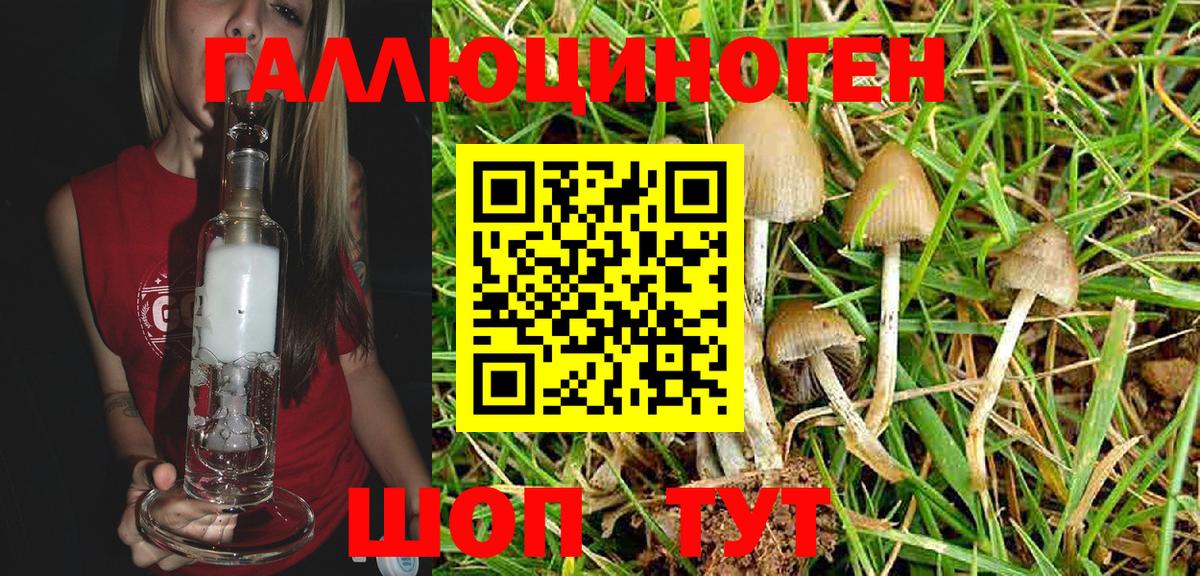 Псилоцибиновые грибы MAGIC MUSHROOMS  Галлюциногенные грибы GOLDEN TEACHER  Вход с VPN  Надым 