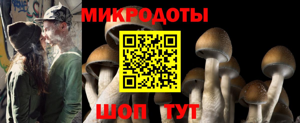 Галлюциногенные грибы мицелий Надым